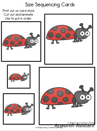 Okul Öncesi Matematik: Boyut Algısı Geliştirme Kartları