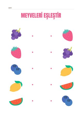 EŞLEŞTİRME ÇALIŞMASI